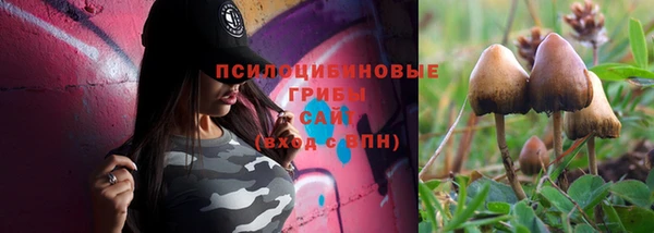 мдпв Ладушкин