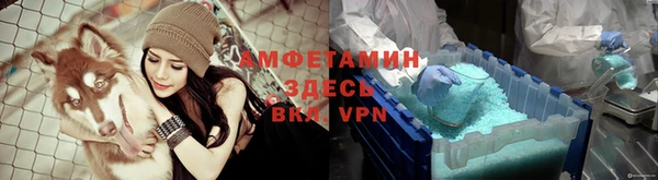 мдпв Ладушкин