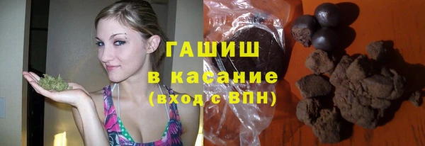 индика Новодвинск