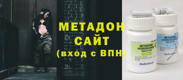 индика Новодвинск