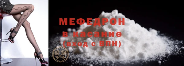 индика Новодвинск