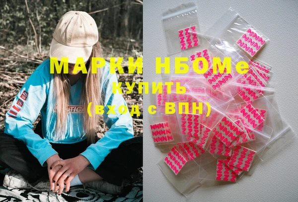 мдпв Ладушкин