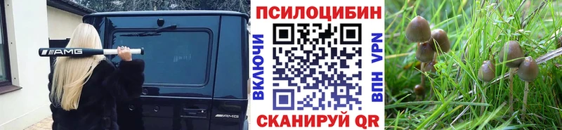 Псилоцибиновые грибы мицелий  гидра ссылки  Березники 