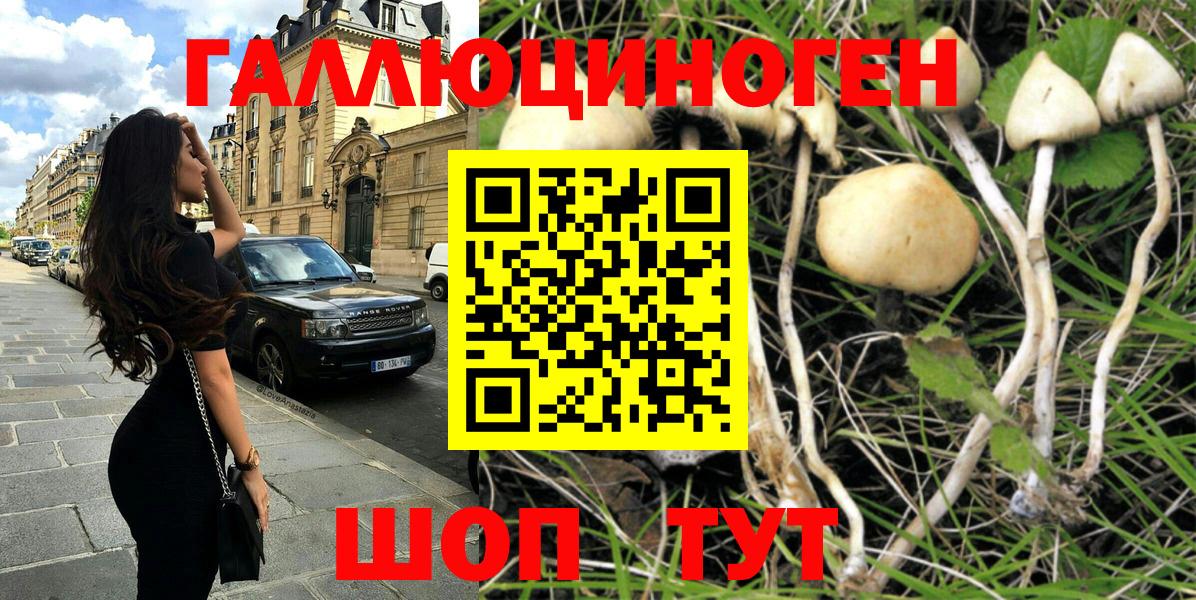 Псилоцибиновые грибы Magic Shrooms  Галлюциногенные грибы MAGIC MUSHROOMS  Березники  Вход с VPN 