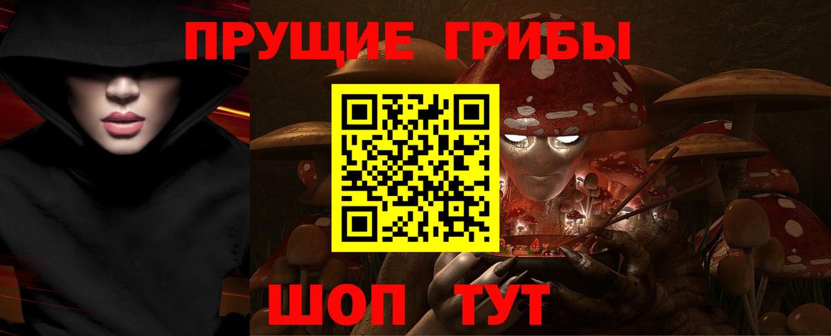 Псилоцибиновые грибы Psilocybe Березники